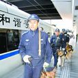 鐵路公安處 鐵路公安處