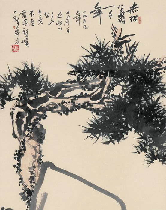 赤松小壽 赤松小壽