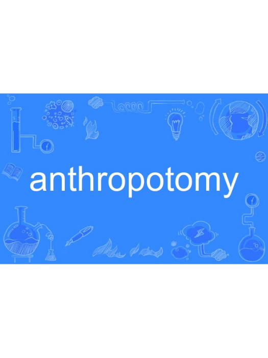 anthropotomy anthropotomy