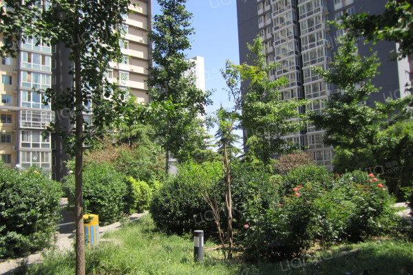 首科花園 首科花園