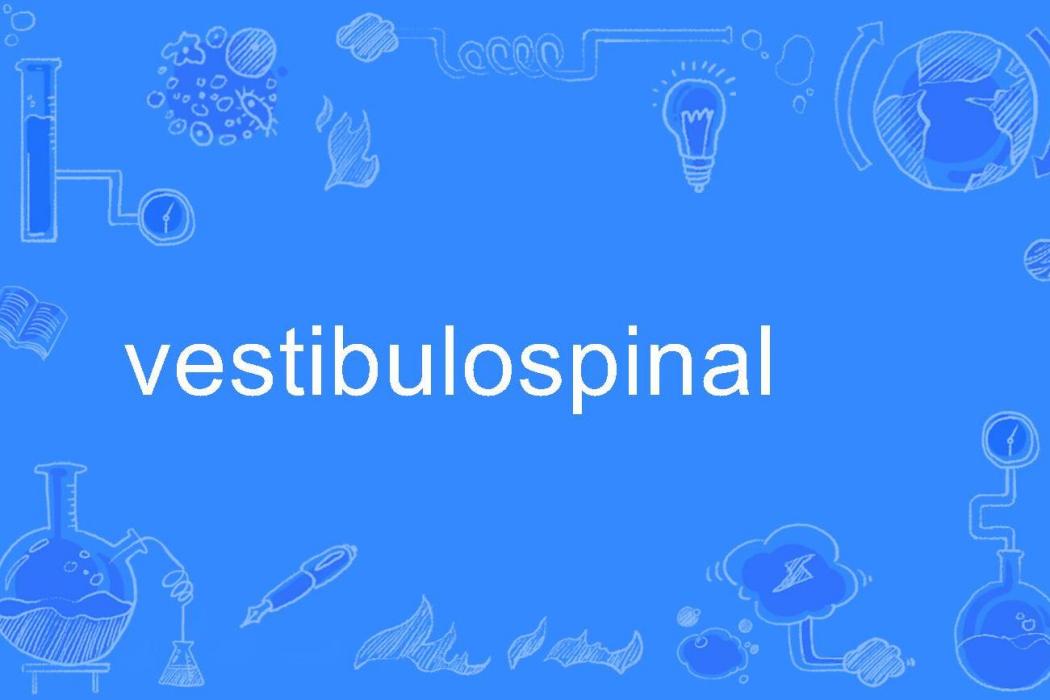 vestibulospinal vestibulospinal