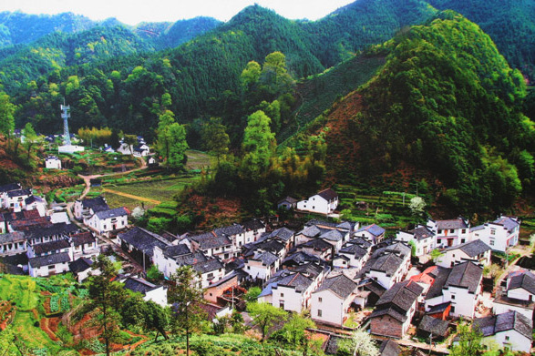 可龍村 可龍村