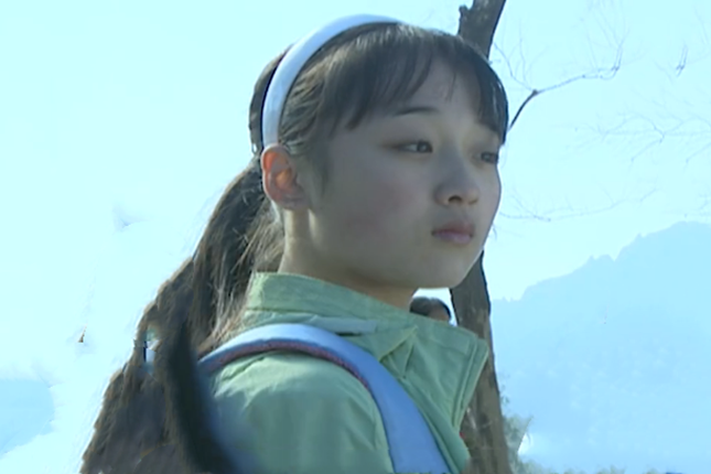 徐清揚(演員)