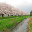 桶川市 桶川市