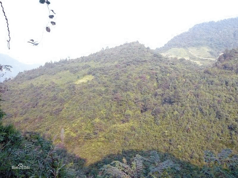 紅碧村 紅碧村