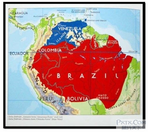 藍色紅色區域為瑪塔龜分布