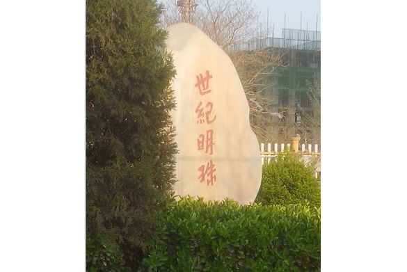 世紀明珠(安陽世紀明珠) 世紀明珠(安陽世紀明珠)