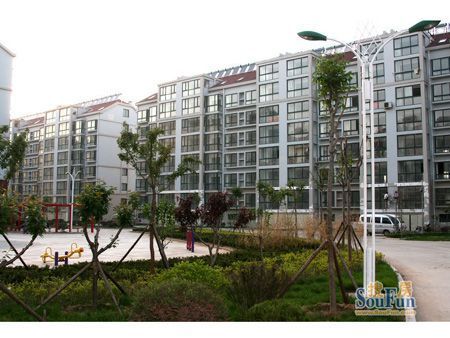 翠堤錦城 翠堤錦城