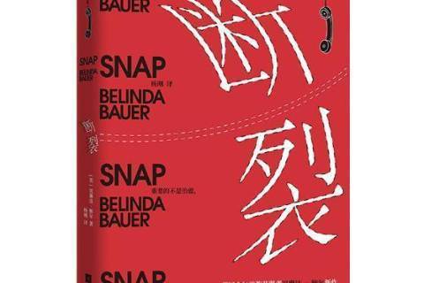 斷裂(2019年江蘇鳳凰文藝出版社出版的圖書) 斷裂(2019年江蘇鳳凰文藝出版社出版的圖書)