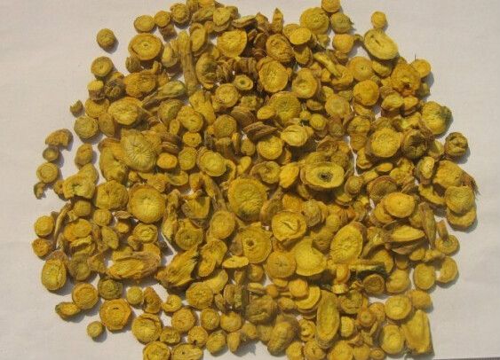 黃芩(腐腸) 黃芩(腐腸)