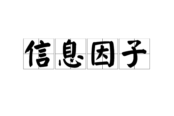 信息因子 信息因子
