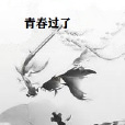 青春過了 青春過了