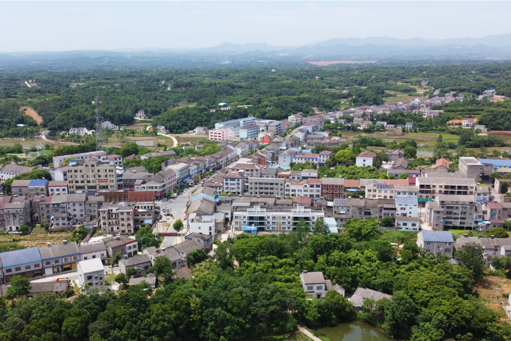 陳家店社區 陳家店社區