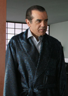 保鏢(美國2007年吉瑞·里威利導演電影)
