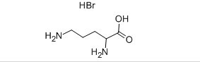 DL-鳥氨酸氫溴酸鹽