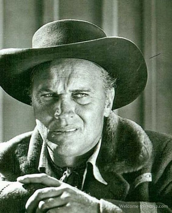 Robert J. Bronner Robert J. Bronner