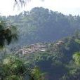 領乾村(雲南玉溪元江縣窪垤鄉領乾村) 領乾村(雲南玉溪元江縣窪垤鄉領乾村)