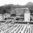 那坡中學 那坡中學