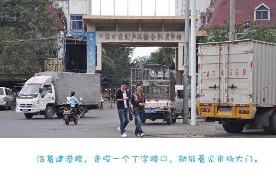 鴻港之歌 鴻港之歌