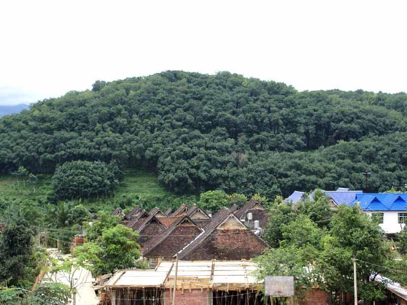 曼灣村 曼灣村