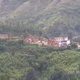 大窪村(雲南省昆明嵩明縣牛欄江鎮下轄村) 大窪村(雲南省昆明嵩明縣牛欄江鎮下轄村)