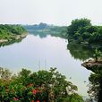 上洞村(廣東省東莞市企石鎮下轄村) 上洞村(廣東省東莞市企石鎮下轄村)
