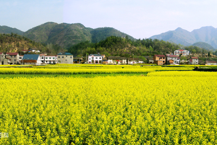 格欄村 格欄村