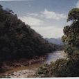 雲南南滾河國家級自然保護區