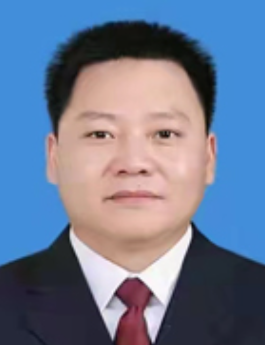 孟強(深圳市龍崗區投資控股集團有限公司副總經理，廣東省汕尾市海豐縣委常委，縣人民政府黨組成員、副縣長)