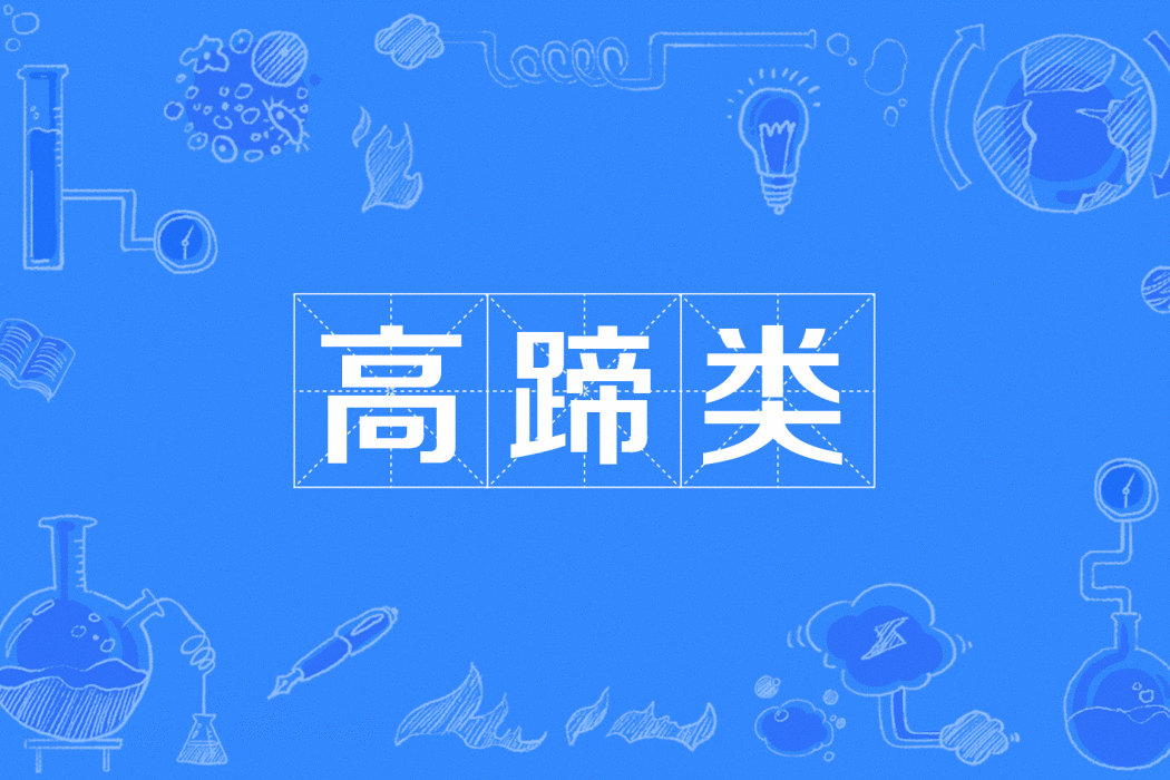 高蹄類 高蹄類