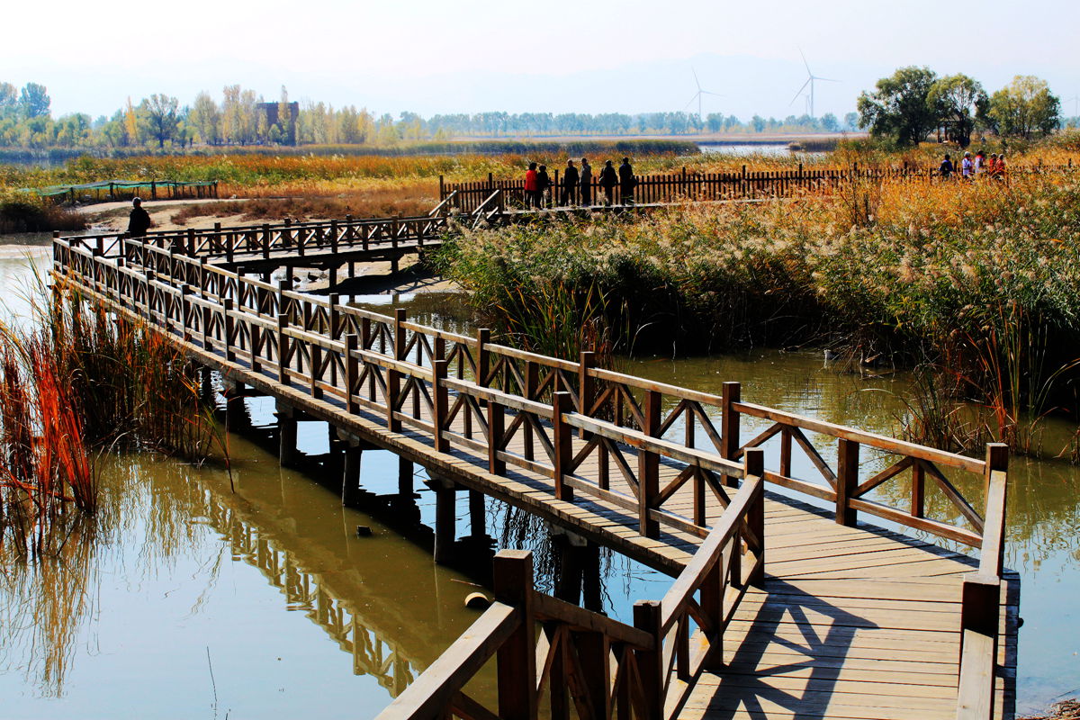 北京野鴨湖國家濕地公園