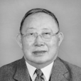 唐格森 唐格森