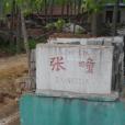 張疃村(山東平度市李園街道辦事處下轄村) 張疃村(山東平度市李園街道辦事處下轄村)