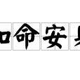 知命安身 知命安身
