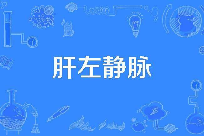 肝左靜脈