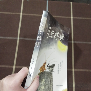 月光蟋蟀 月光蟋蟀