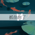 抓住你了 抓住你了