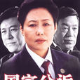 國家公訴(蔣紹華執導電視劇)