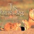 The Prairie Dog The Prairie Dog