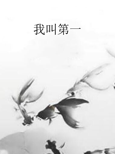 我叫第一 我叫第一