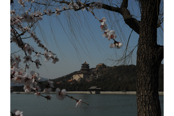 頤和園志 頤和園志
