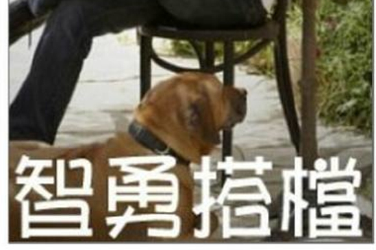 智勇搭檔 智勇搭檔