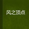 風之頂點 風之頂點