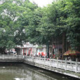 茭西村 茭西村