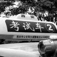 車輛闖動 車輛闖動