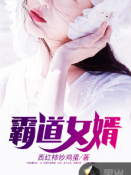 霸道女婿 霸道女婿
