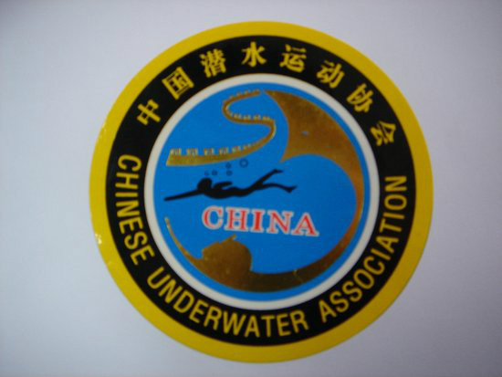 中國潛水運動協會