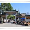 棗園劉村 棗園劉村