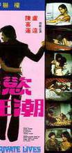 魏秋樺