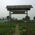 廊下生態園 廊下生態園